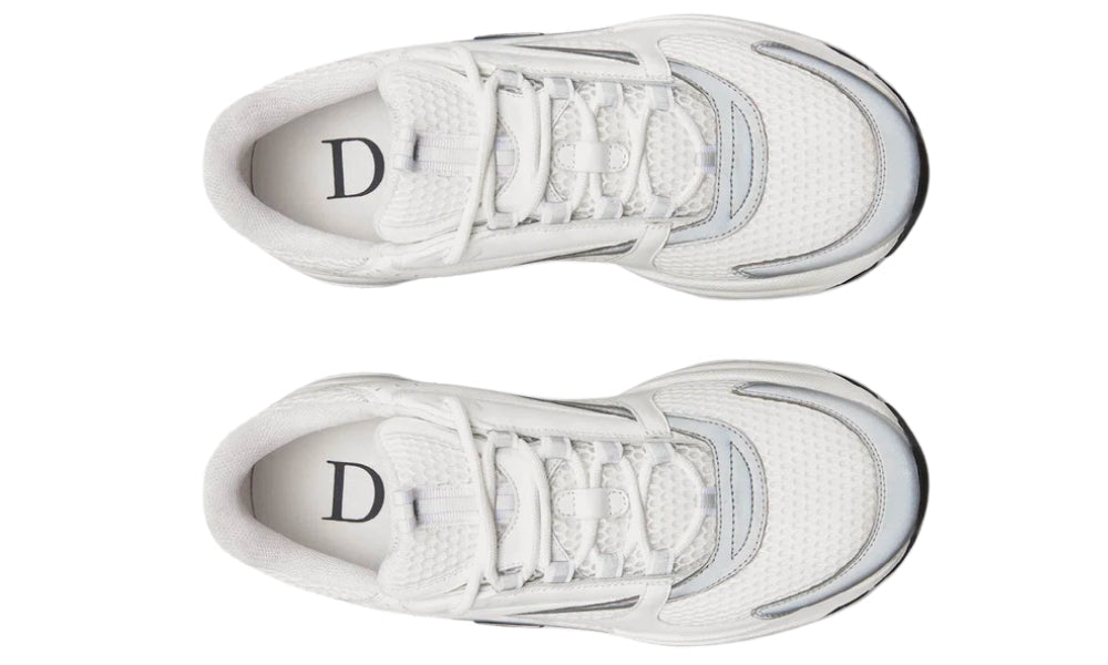 Dior B22 'White Grey'