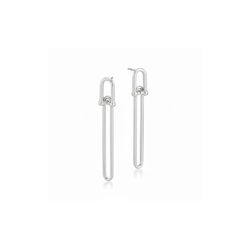 Fendi | Long link earrings
