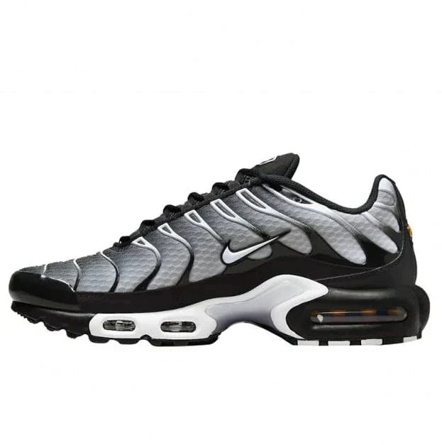Nike Air Max Plus Smoke Fade